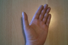 faust_schliessen_01