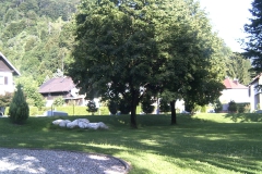 dsck0666