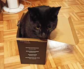 katze_fuellt_gefaess