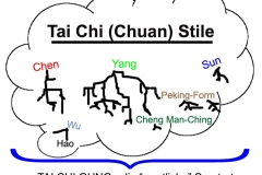 Übersicht der Tai Chi (Chuan) Familienstile