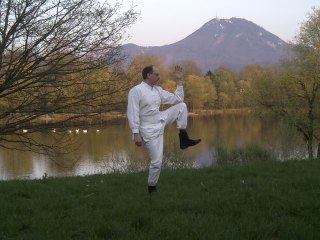 goldener_hahn_linkshrm