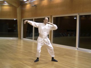 peitsche_re_in_bewegung
