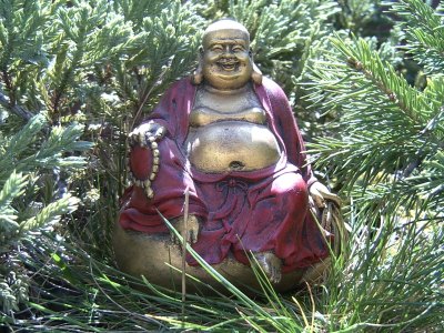 buddha_in_nature