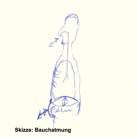 skz2_bauchatmung