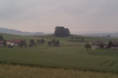 waldzell_02