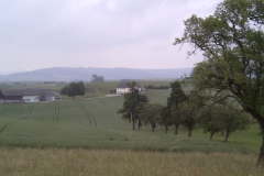 waldzell_03