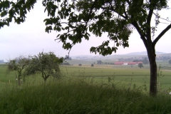 waldzell_06