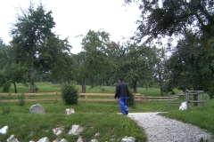 waldzell_08