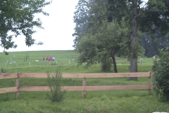 waldzell_10